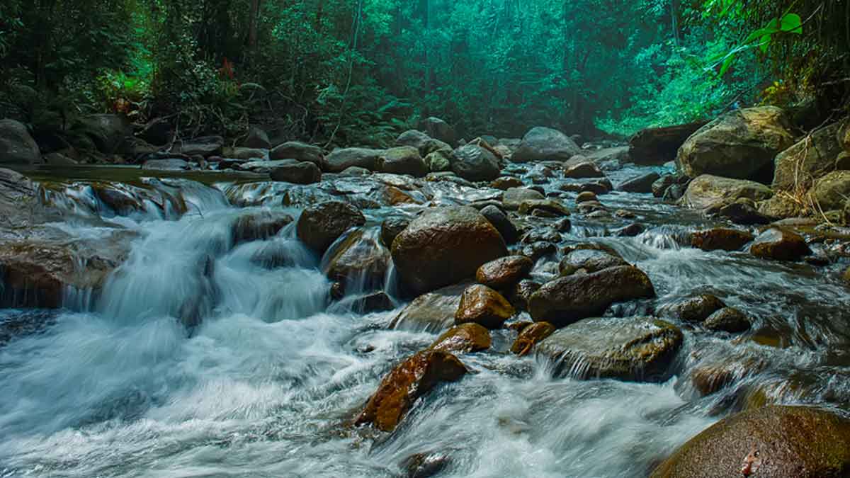 水质受到威胁