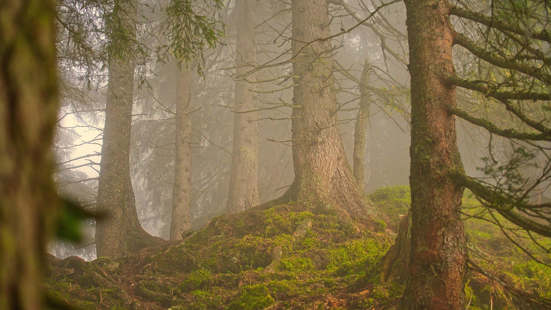 当自然屏障失效：尼日尔水危机背后的全球警示