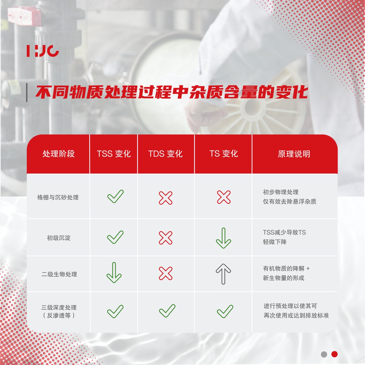 中文2 大